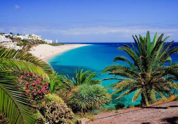 Fuerteventura: Beaches, Nature, and Endless Sunshine